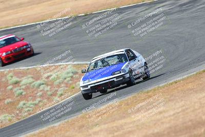 media/May-06-2023-Lucky Dog Racing (Sat) [[8f2256f436]]/Turn 2 10a/